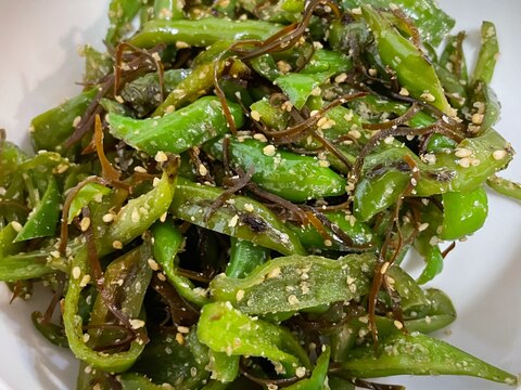 万願寺とうがらしと塩昆布